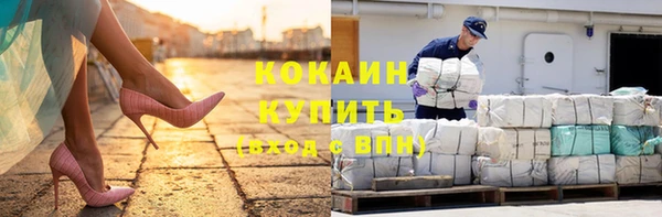 ешки Пересвет