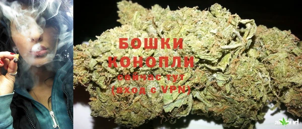 крисы Пестово