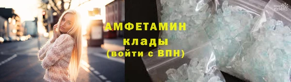 крисы Пестово