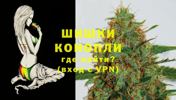 mdpv Переславль-Залесский