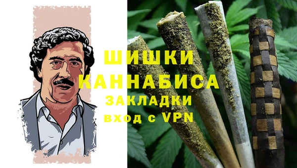 крисы Пестово