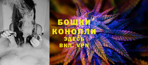 mdpv Переславль-Залесский