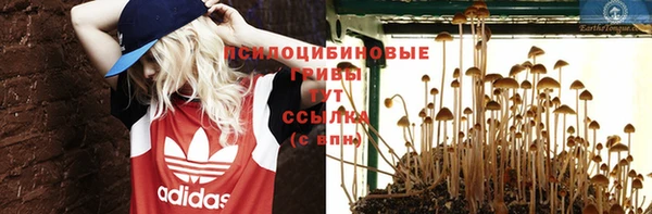 крисы Пестово