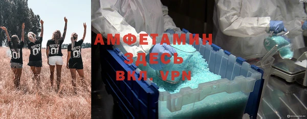 крисы Пестово