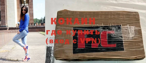 ешки Пересвет